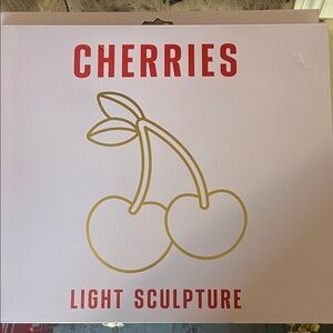Cherries Light Sculpture -100 led’s iron frame
